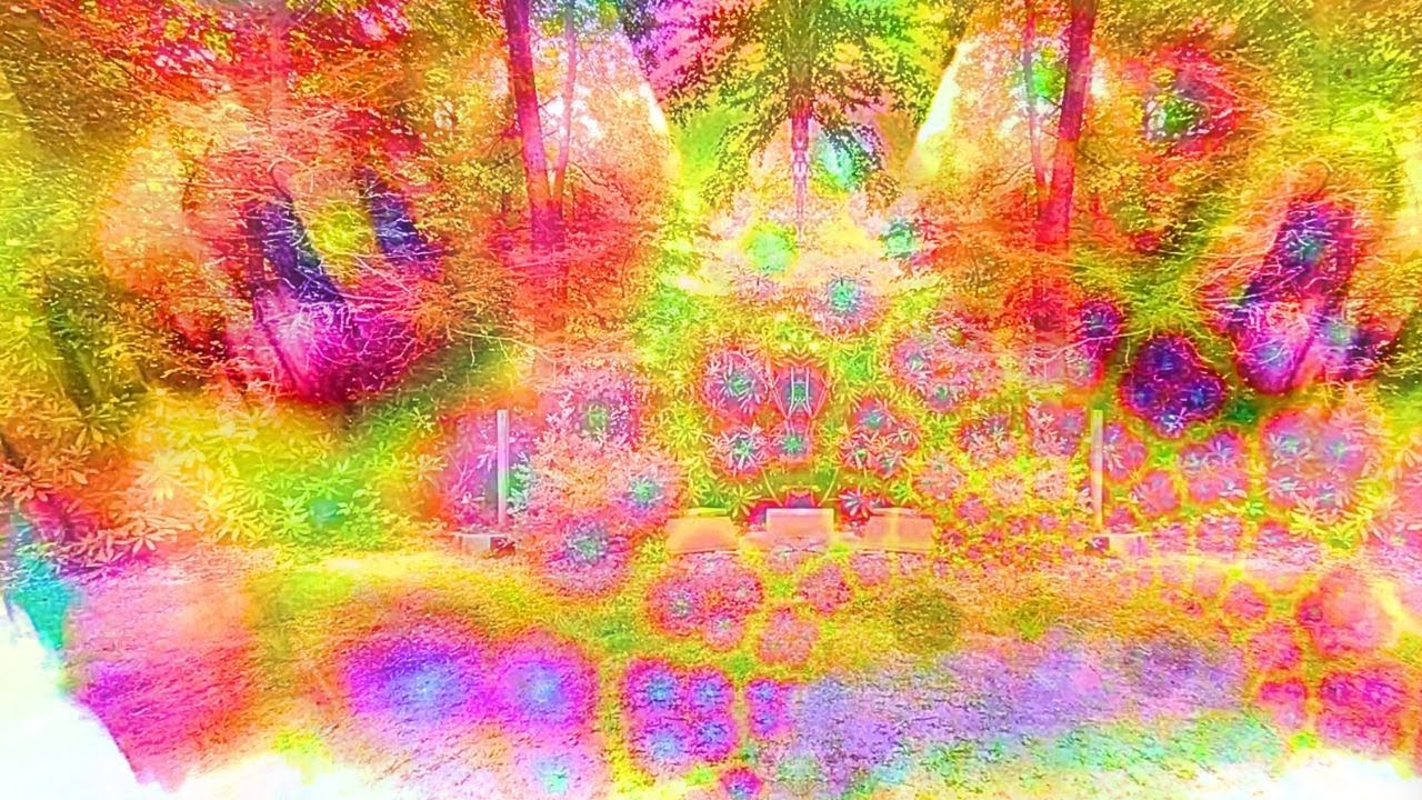 SALVIA Trip Simulation