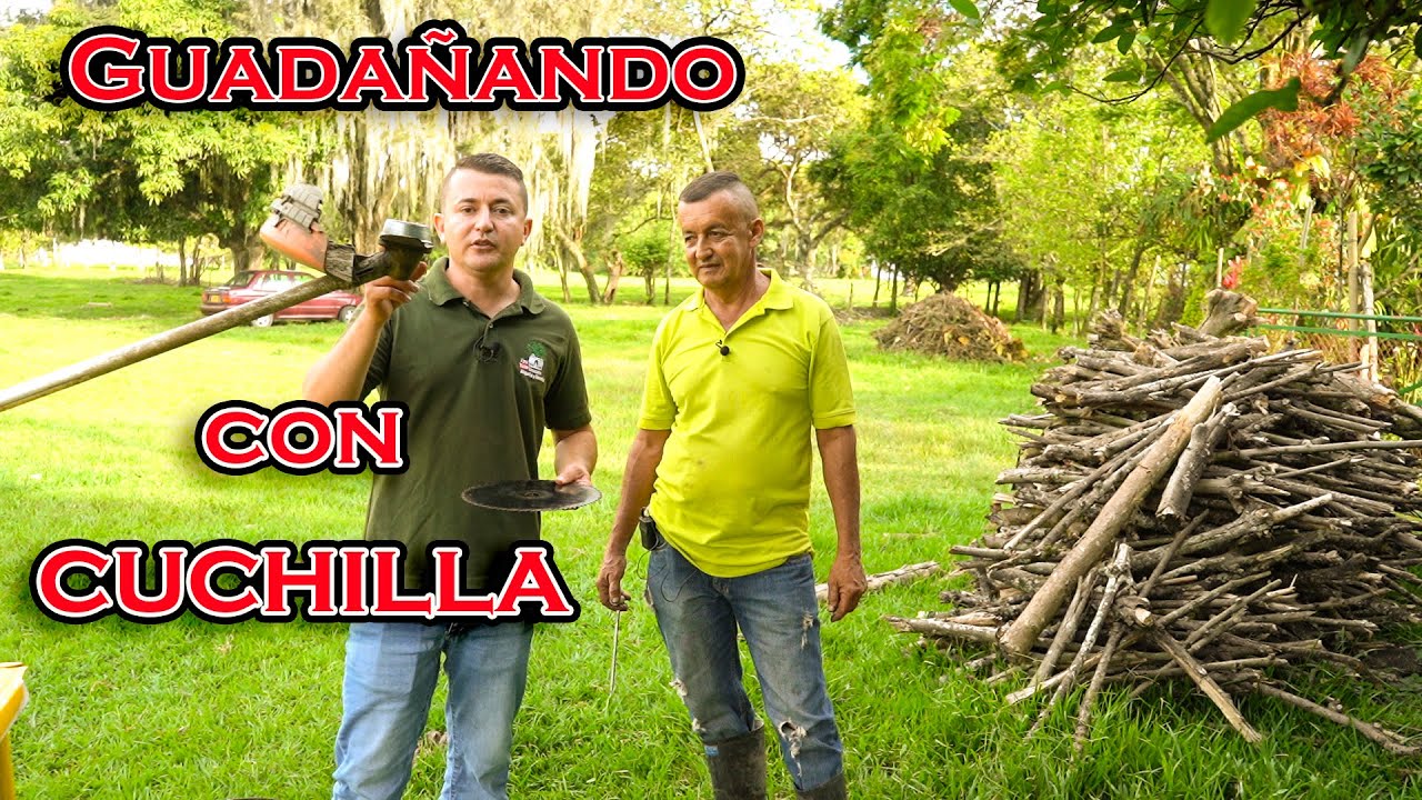 🤠 Como se guadaña un lote con CUCHILLA. Einstein Serna. Santa Elena El Cerrito. 👨‍👨‍👧‍👦. 3173134686