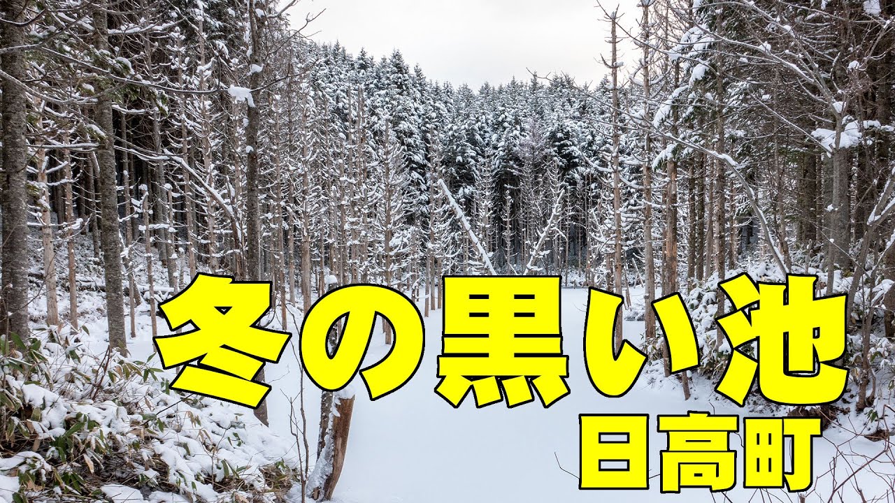 冬の黒い池　The black pond in Hidaka