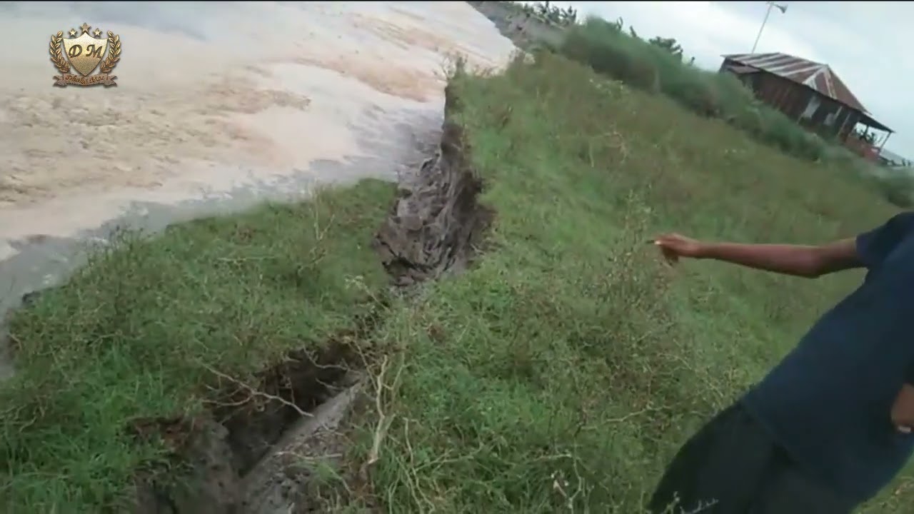 কালুর পাড়া, হলদিয়া সাঘাটা উপজেলা যমুনা নদী ভাঙ্গন || Yamuna river break || jamuna river erosion