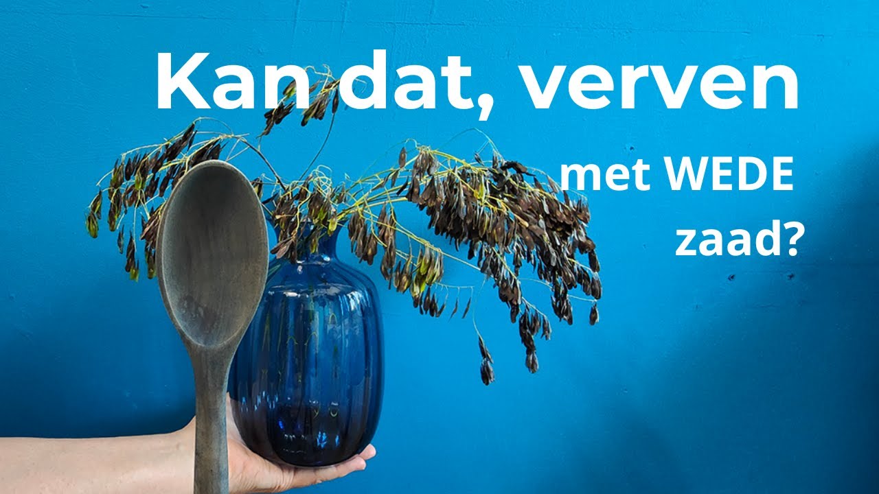 Wat zijn de mogelijkheden van het verven met wede zaad. Komt er kleur op je textiel?