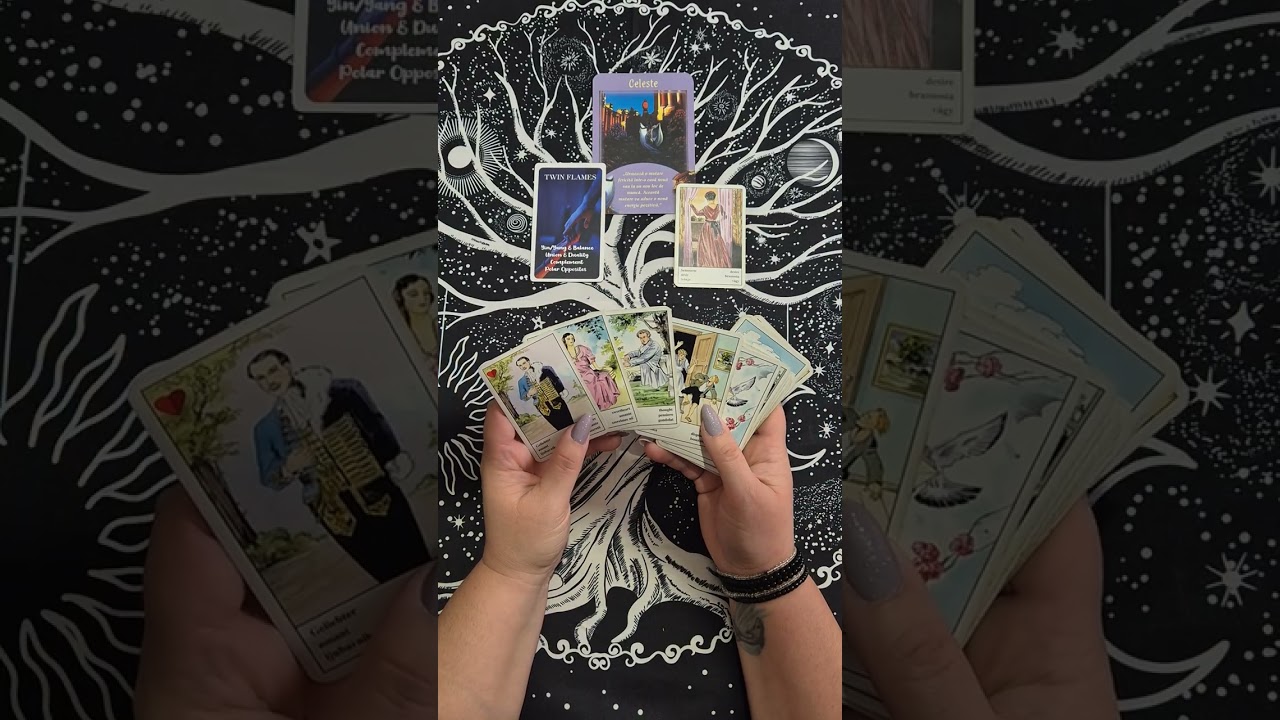 Rac- Săpt.16- 22 Feb.-Dualitate.Cineva vă tradează,este egoist.Ac.situație vă epuizează.Drum,mutare💥