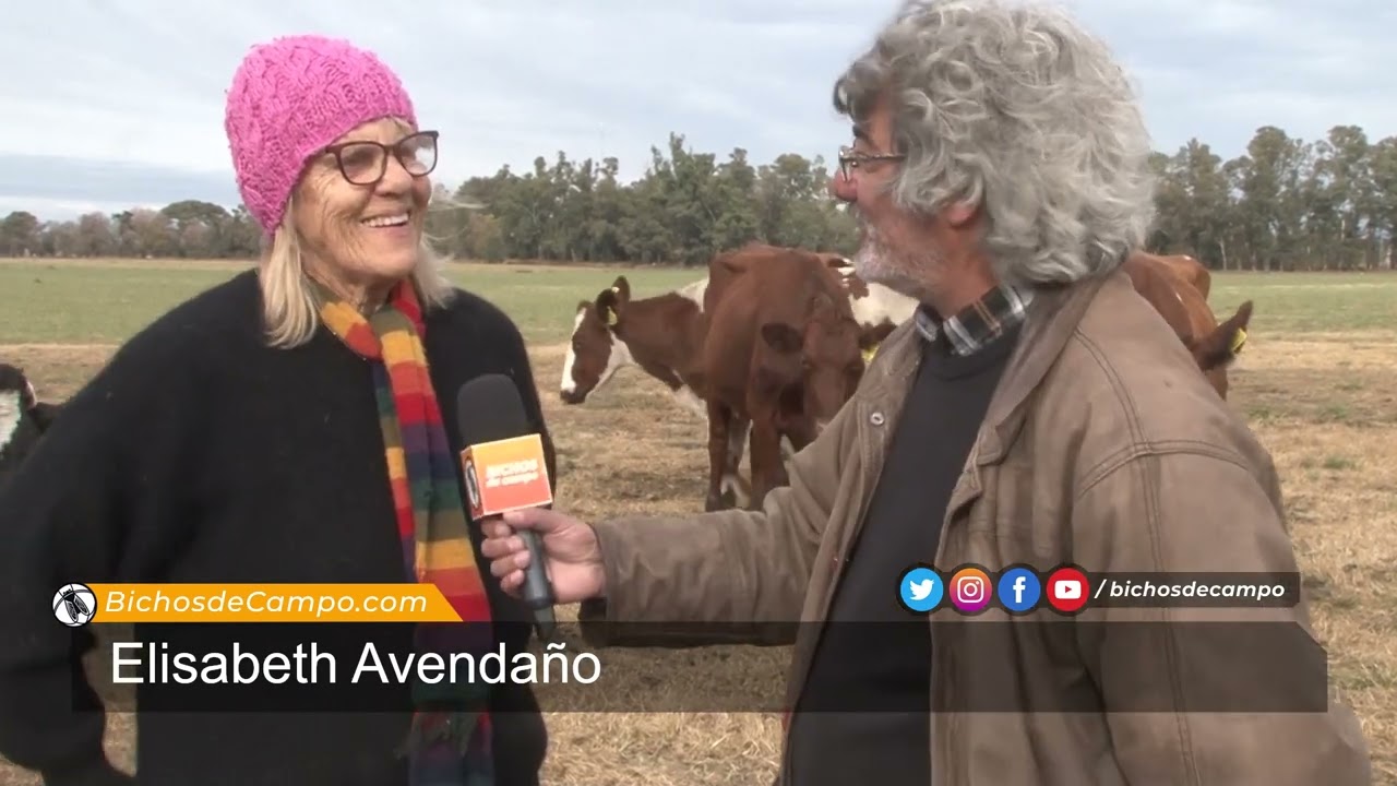 Elisabeth Avendaño, cabañera de la raza lechera Sueca Roja