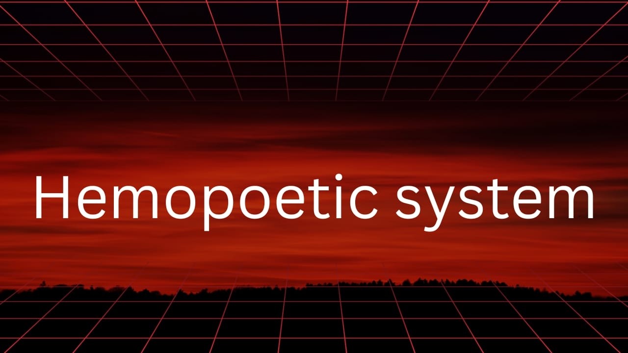 HEMOPOETIC SYSTEM 2