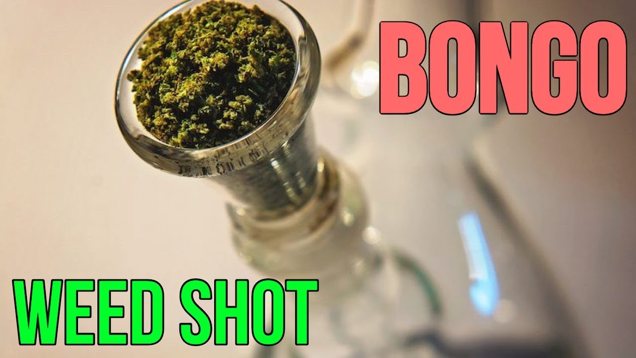 Weed Shot #3 Bongo, Co i Jak?