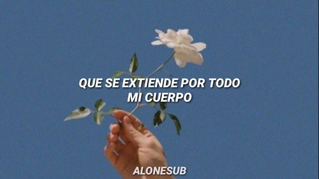 tú no encontraste esta canción, esta canción te encontró a ti 🥀( traducción al español)