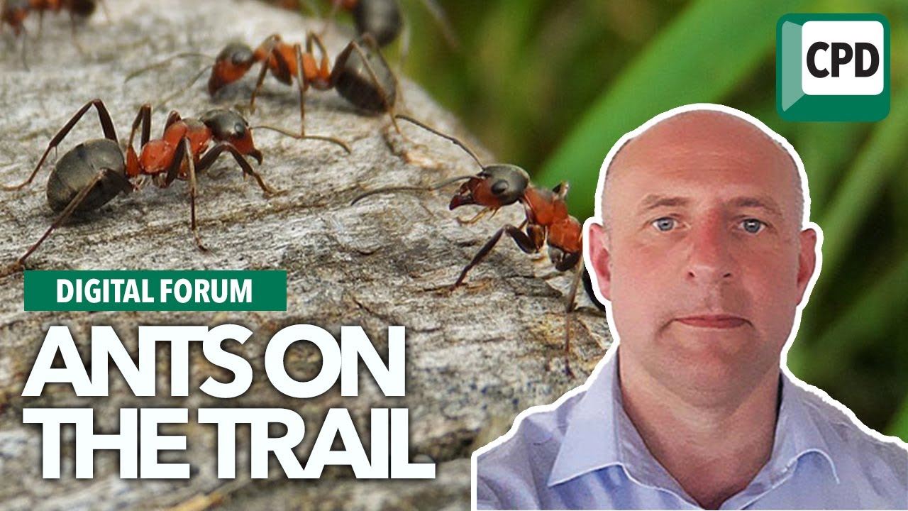 Ants on the trail | Pest control biology and behaviour