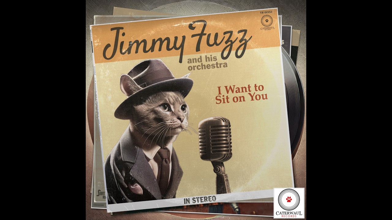 I Want To Sit On You - Jimmy Fuzz | Cat song, big band crooner parody