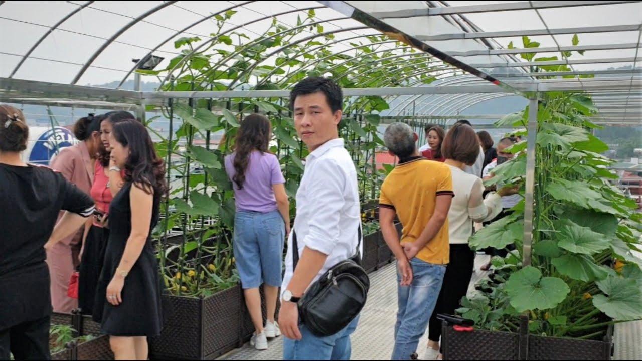 Ngưỡng mộ vườn sân thượng được chăm sóc chỉn chu