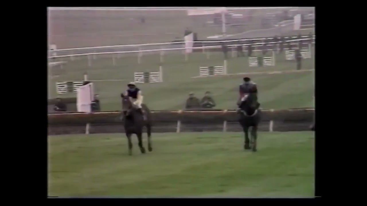 The 1980 Champion Hurdle