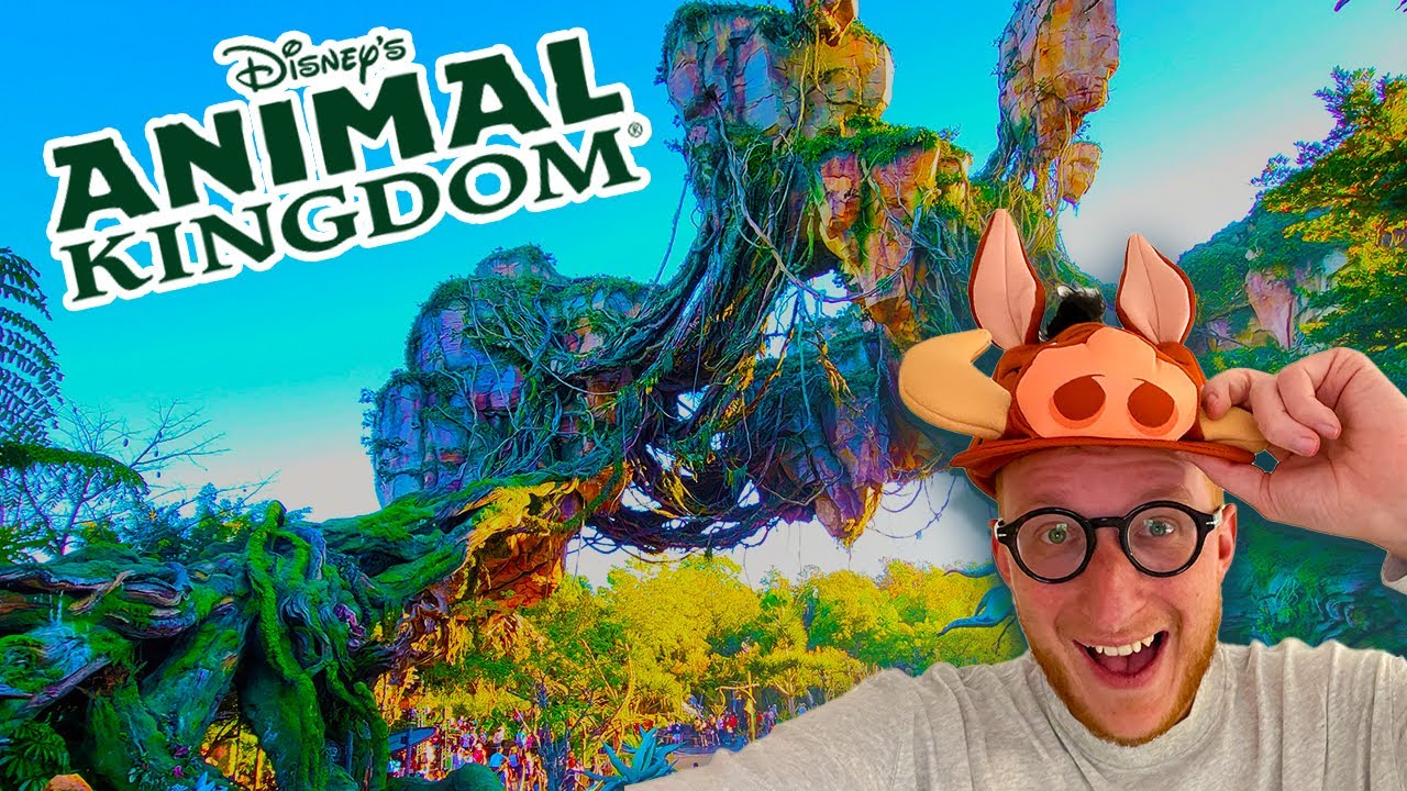 IHOP, Snack shopping at Walmart and an evening on Pandora at Animal Kingdom!