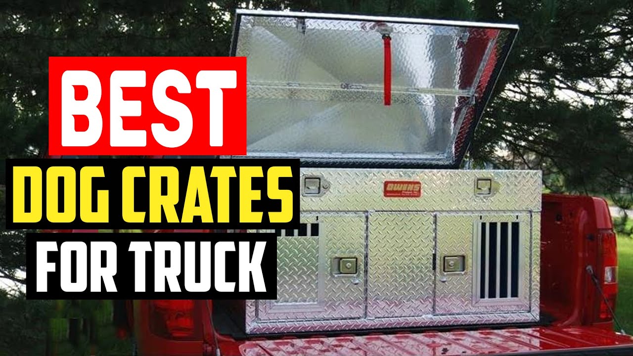 ✅Top 5 Best Dog Crates for Truck Beds in 2025