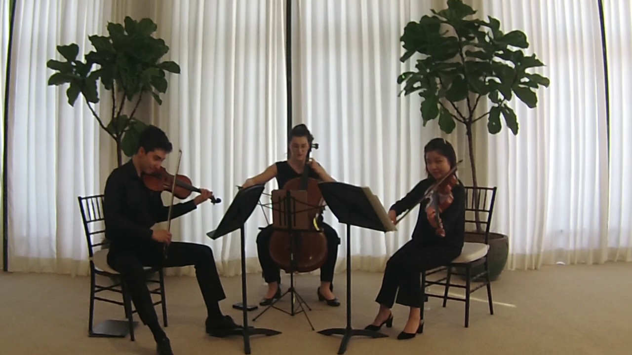 The VISION Collective - 