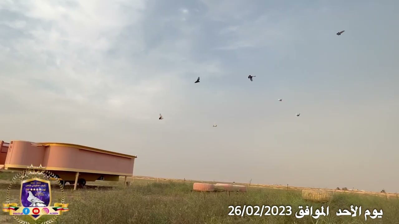 حمام لوت ( الاحد الموافق 26/02/2023) إنتاج 2023.