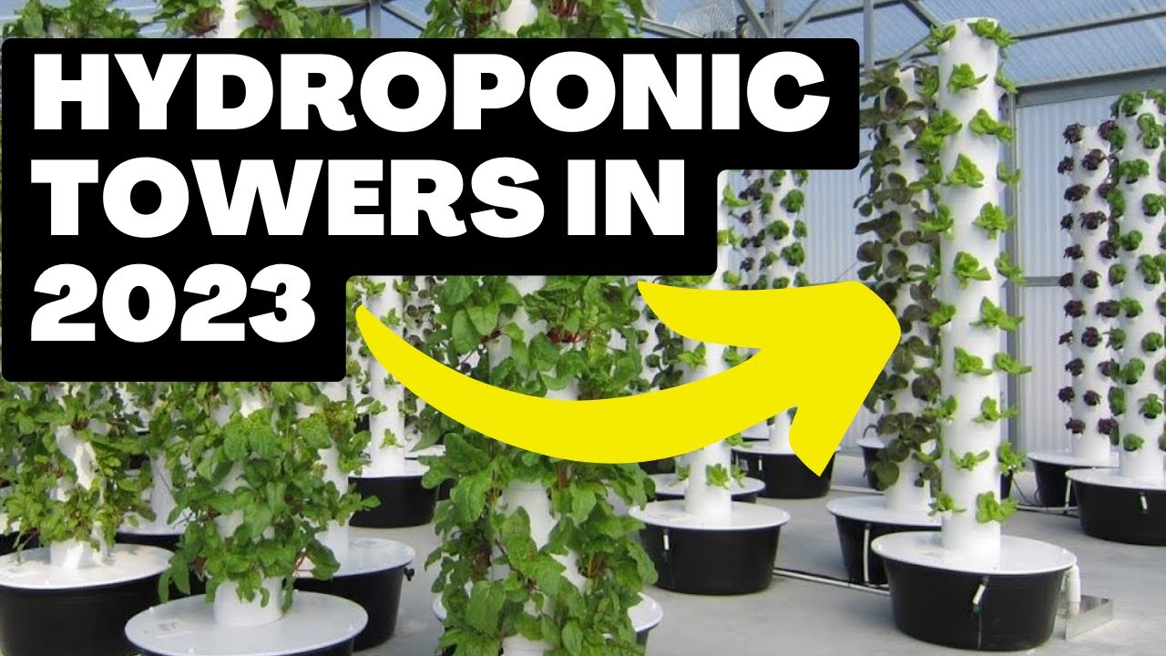 Hydroponic Towers 2024 | What You Need To Know