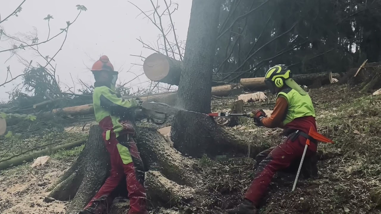 Pr&aacute;ce v lese / mechanick&yacute; kl&iacute;n / WOODLIKE / Stihl 500i / Pilč&iacute;k / woodworking / Timber