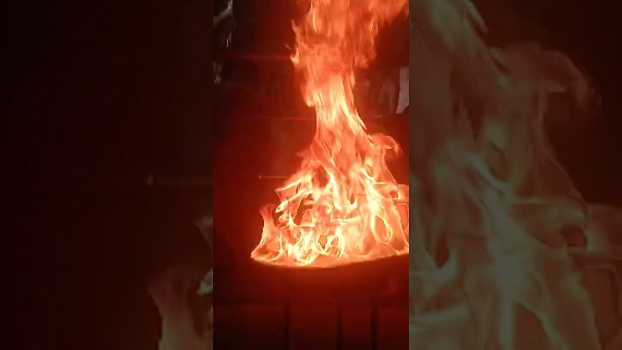 வடலூர் முருகானந்த சுவாமி குருபூஜை ஜோதி தரிசனம் புலிப்பாணி பரசுராமன் சித்தர் 