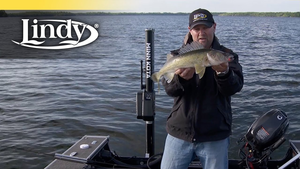 SMALL LAKE WALLEYES
