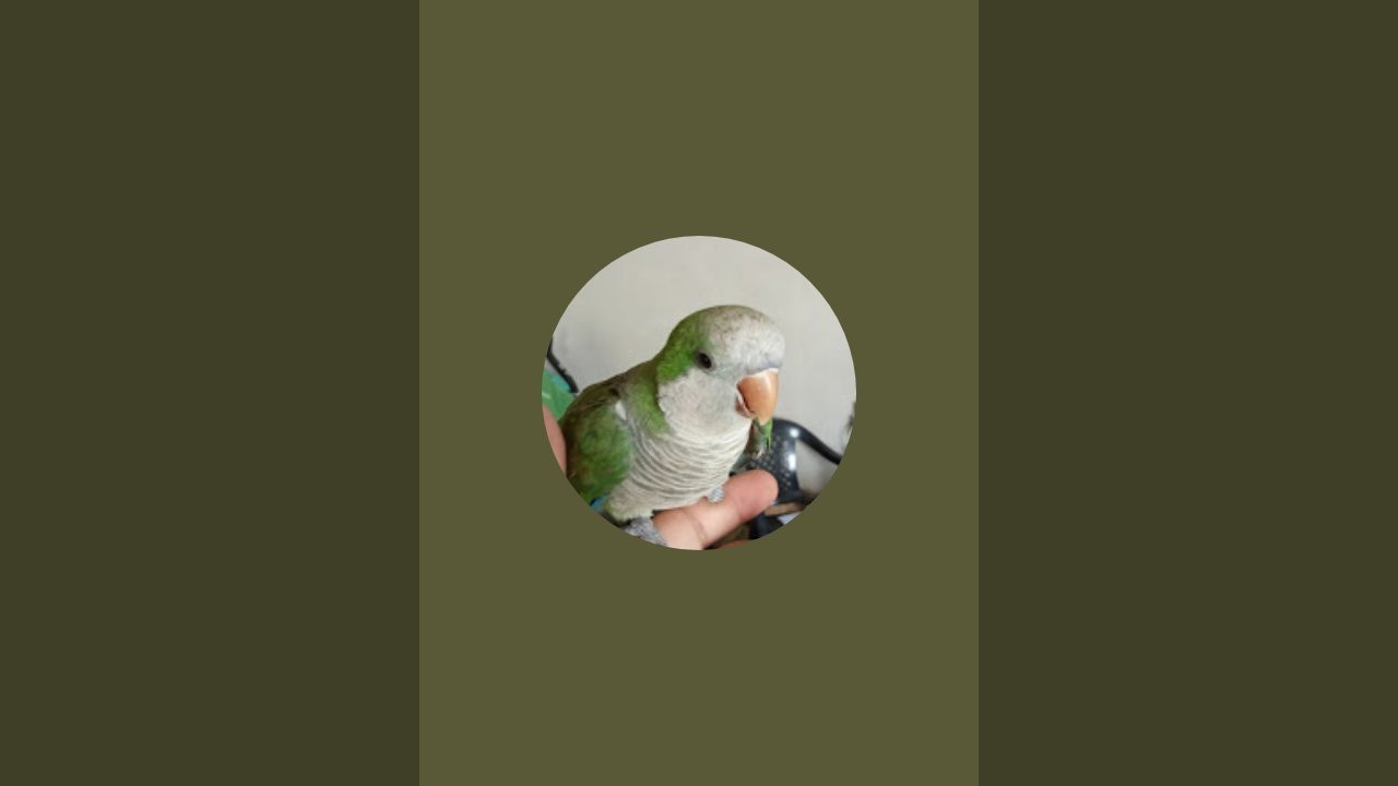 ¡Princesa verde  está emitiendo en directo!