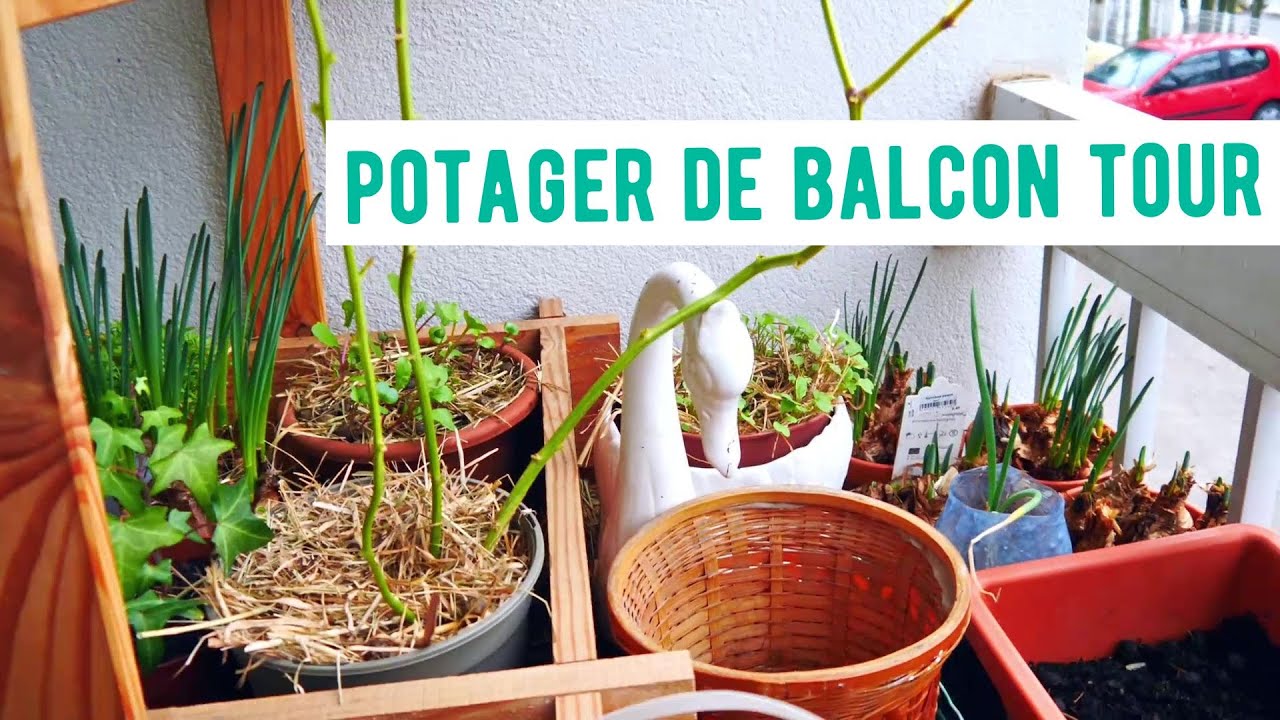 VlOG : On relance le potager de balcon + quelques news :-)