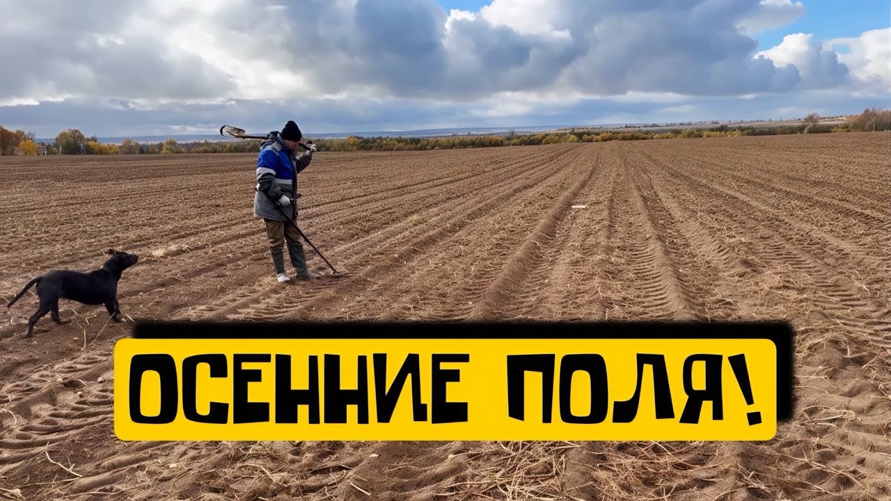ОСЕННИЕ НАХОДКИ!