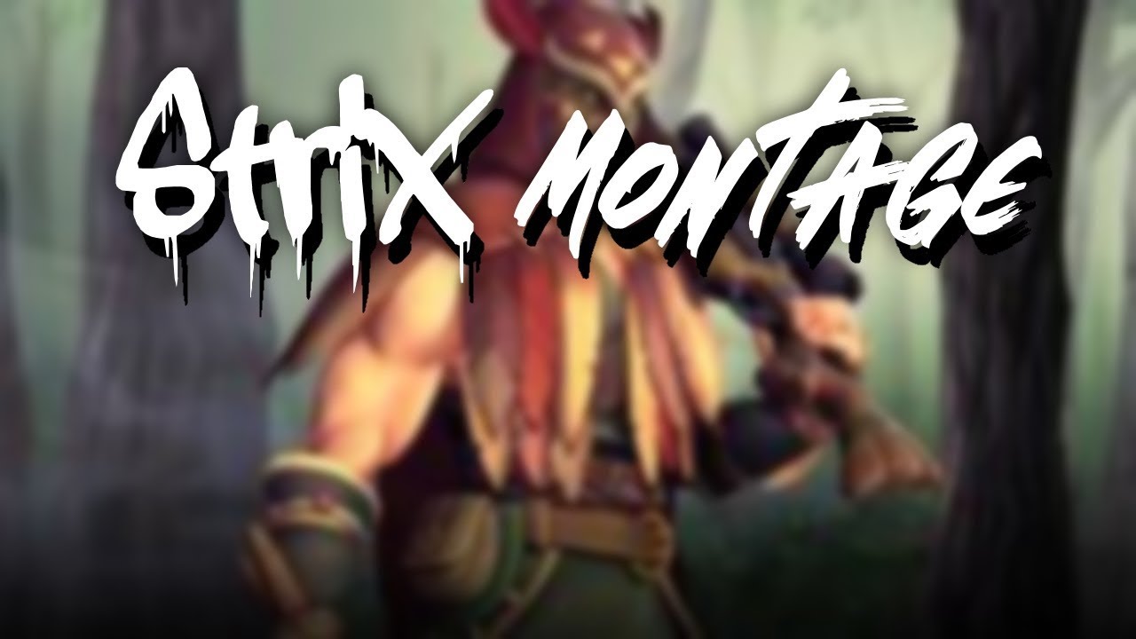 Flank Strix Montage -Paladins Strix level 60+