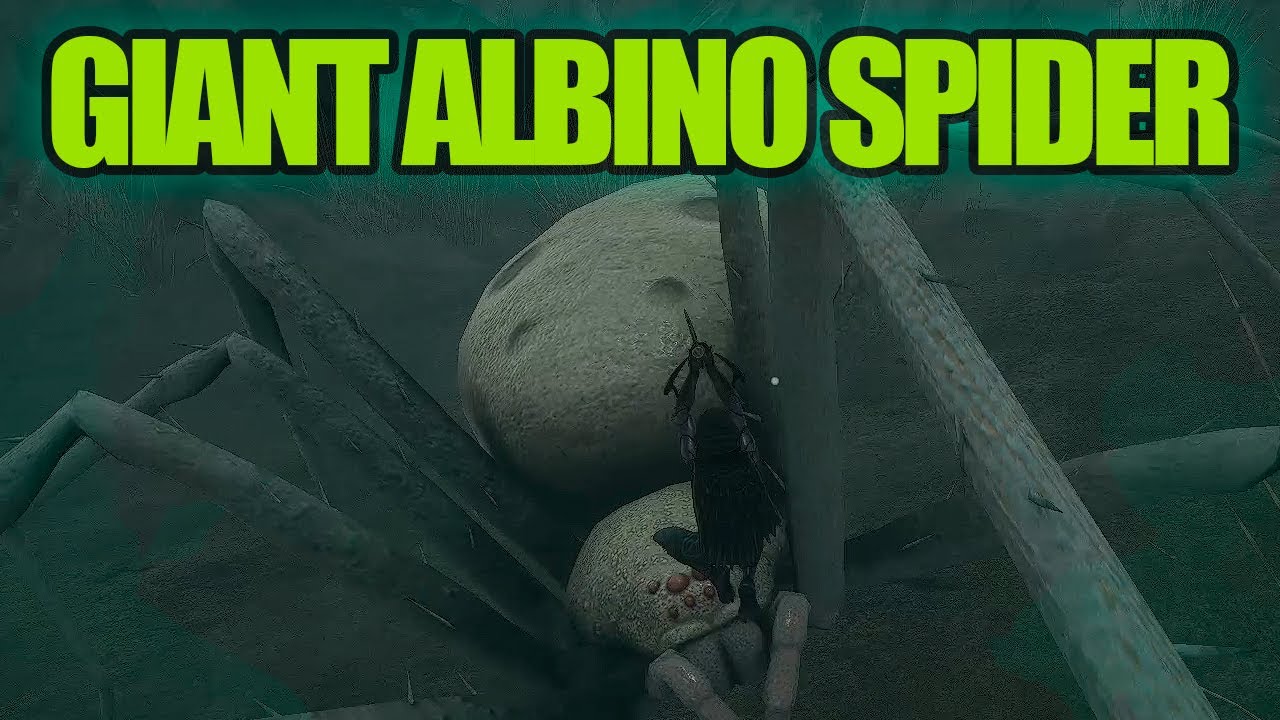 How to beat Giant Albino Spider in Smalland (Guide)