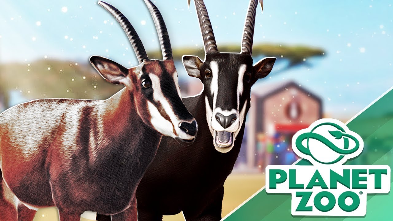 KØBER MIT FØRSTE DYR?! 🦌| Dansk Planet Zoo med Kaytraine #1