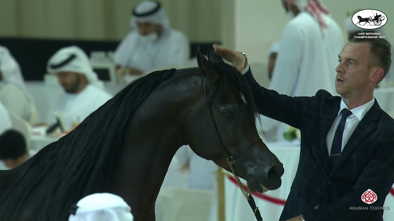 UAE National Championship 2021  Class 11