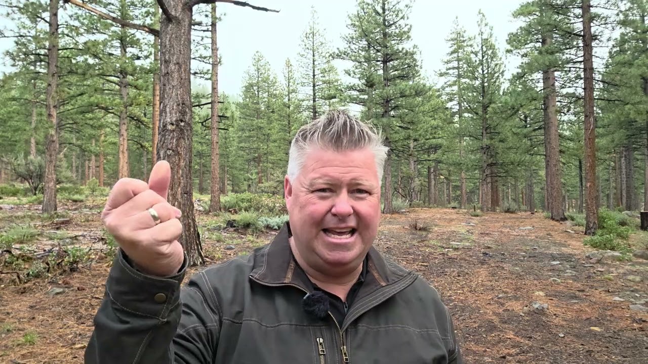 Все доступные XRP скоро закончатся.