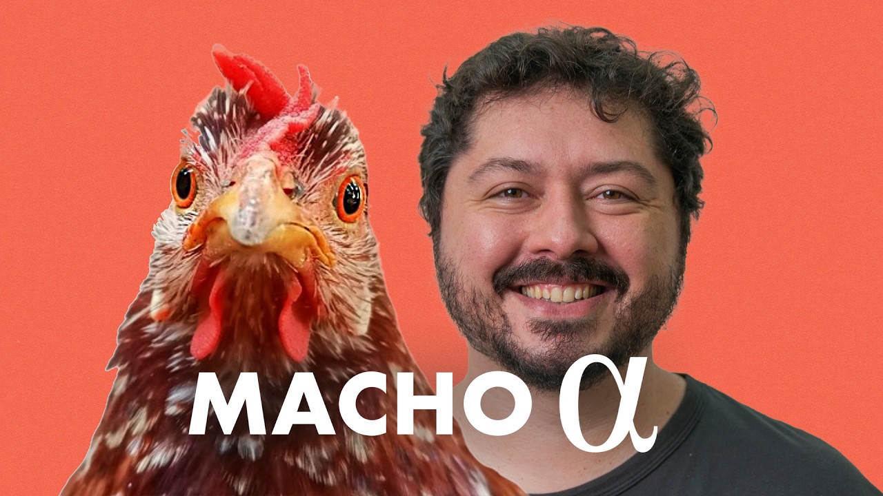 O mito do Macho Alfa