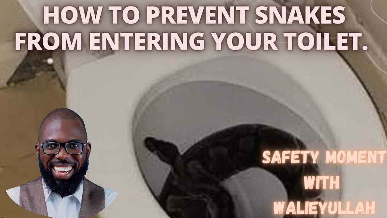 How to prevent snakes from entering your toilet closet and from entering your home in general.