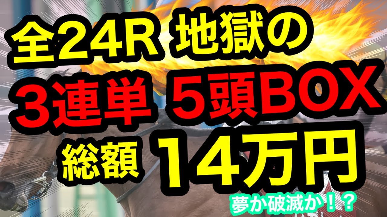 【無謀の挑戦】3連単5頭BOX&times;地獄の全24R＝総額14万円！夢か破滅か!?【競馬馬券勝負】