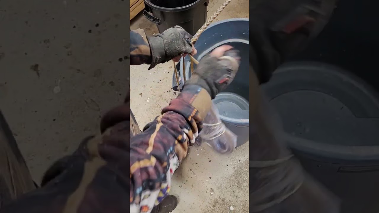 Braiding a reata. Part 5.