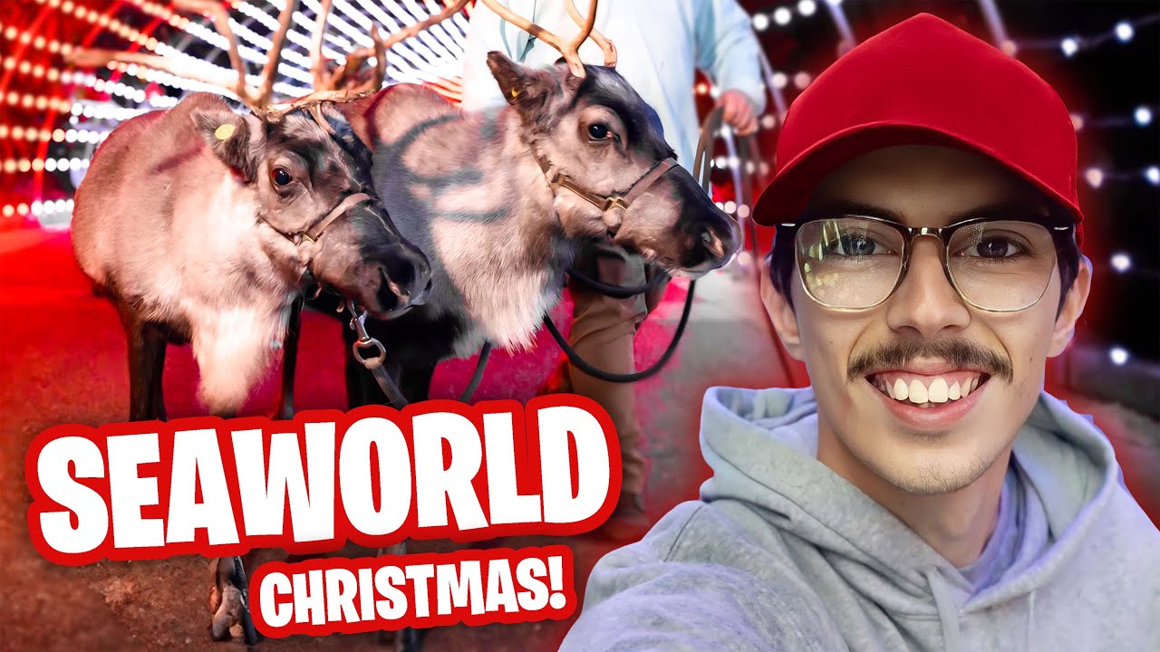 Рождественские праздники 2025 года в SeaWorld San Diego!