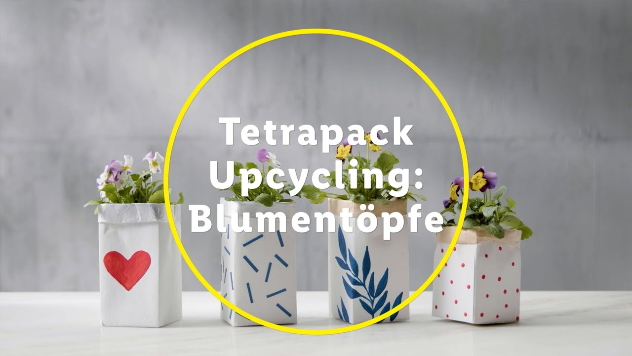Upcycling DIY: Gestalte nachhaltige Blument&ouml;pfe aus Tetra-Pack Verpackungen | DIY | Lidl