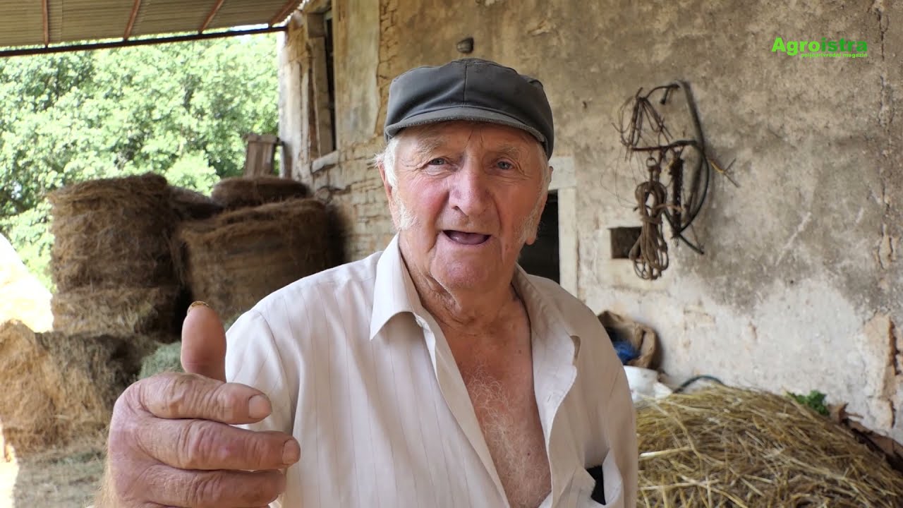 Mario iz Gospodi i njegov Sarožin