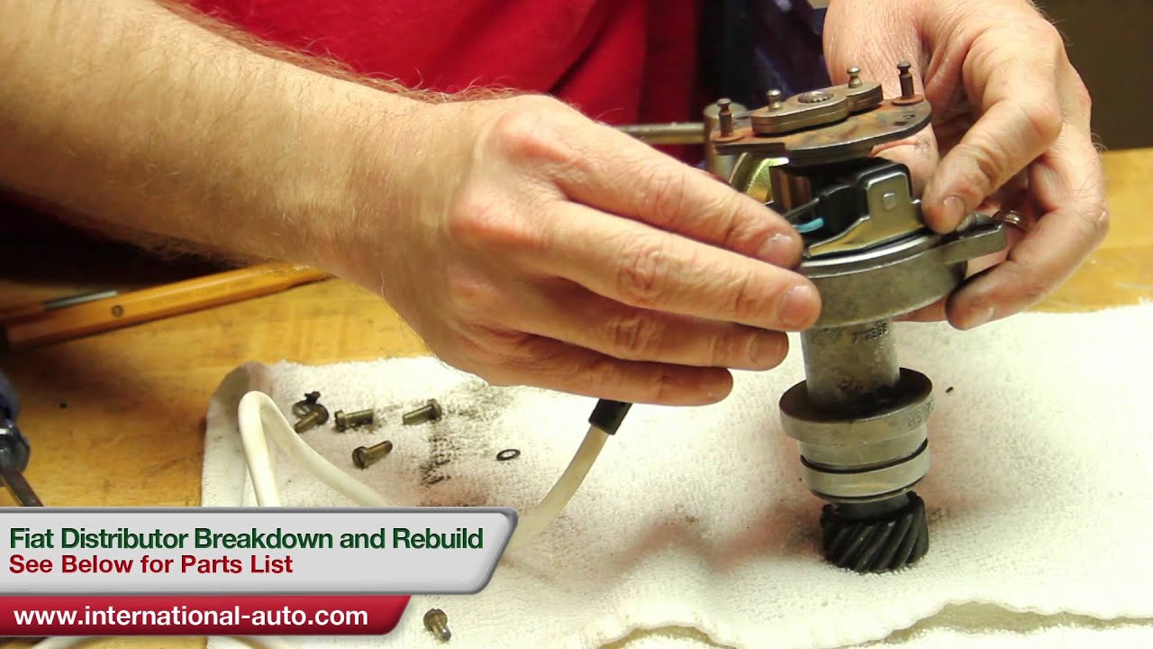 Fiat Distributor Rebuild - International Auto Parts