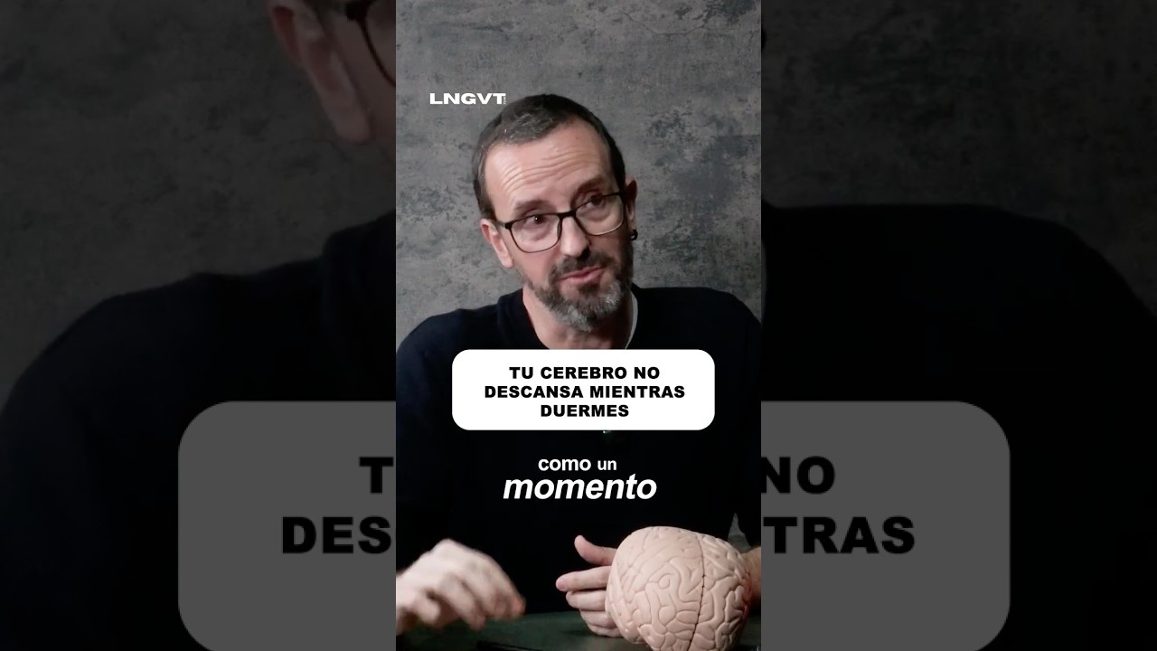El CEREBRO trabaja durante la NOCHE 🌓