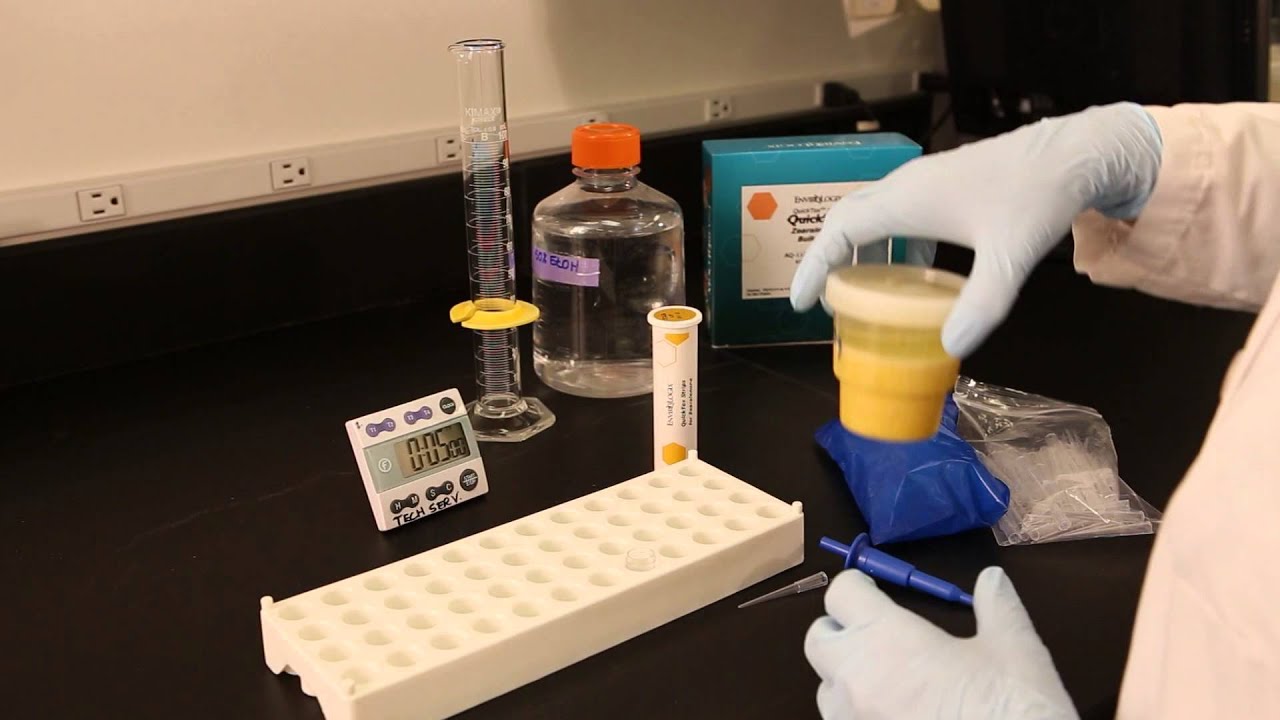 Zearalenone Test Kit Training Video