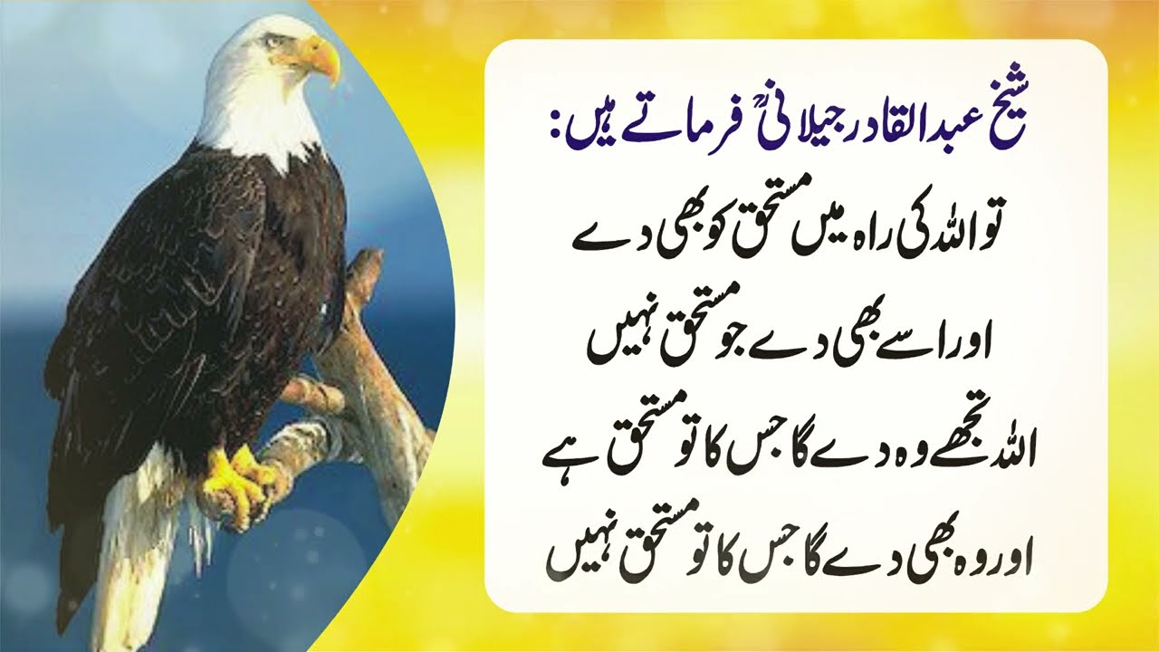 Heart Touching and Amazing Urdu Quotes Collection - Aqwal e Zareen - Sunehre ALfaz