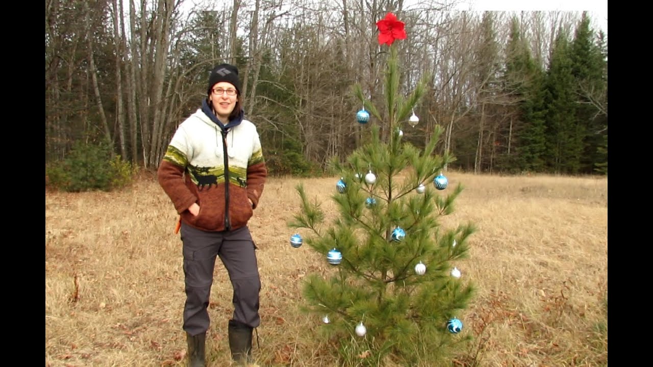 Nature Lover's Gift Guide 2015