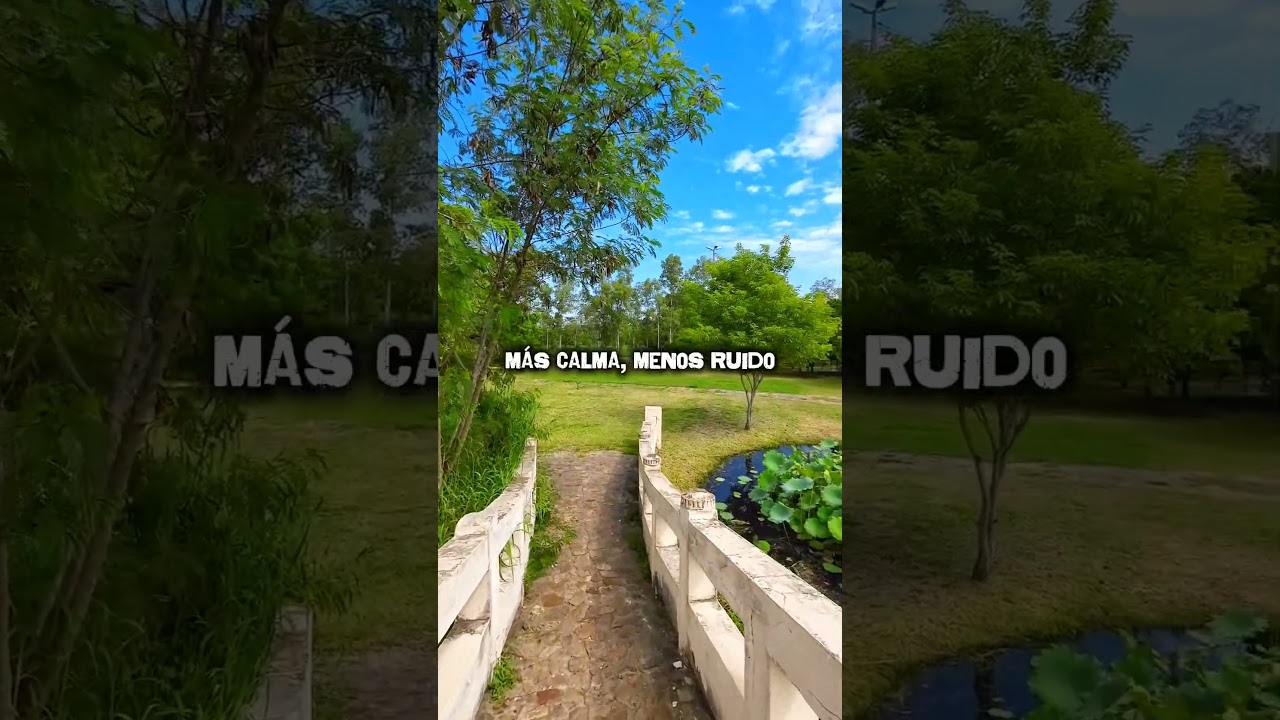 M&Aacute;S calma, MENOS ruido🍃 #descanso #desconexi&oacute;ndigital #desconexion #viajes #turismo #calma #chill