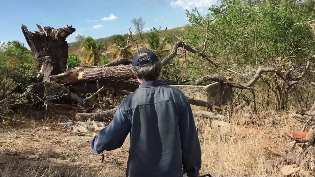 Motosserra Stihl 051: bruta e potente