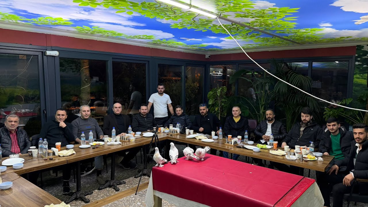 İstanbul Masa Salımı #musulgüvercinleri #güvercin #pigeon #hayvansevgisi 
