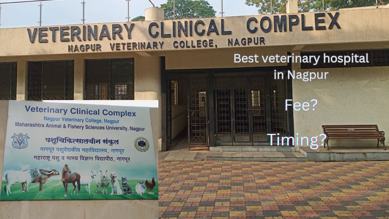 Best Veterinary Hospital in Nagpur /Nagpur Government Veterinary Hospital #petdoctor #petclinic #yt