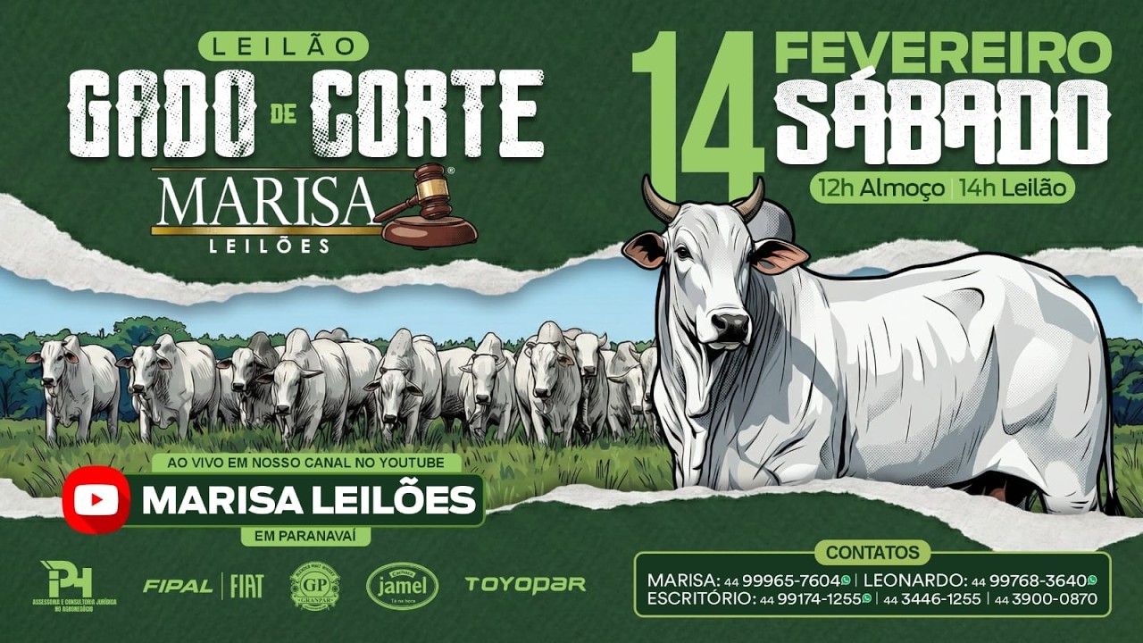 Leilão - Ao Vivo Marisa Leilões - 14 de FEVEREIRO 2026  -  Paranavaí-PR
