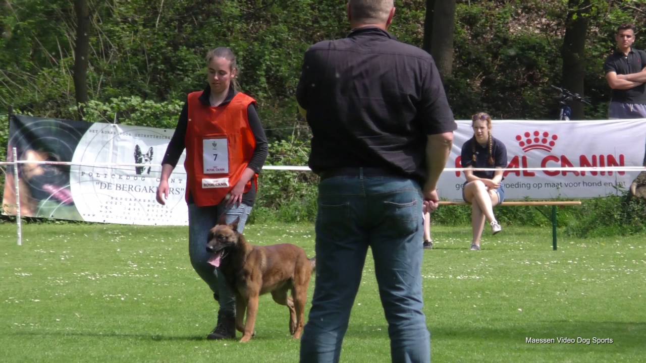 PHV de Trouwe Vriend Venlo