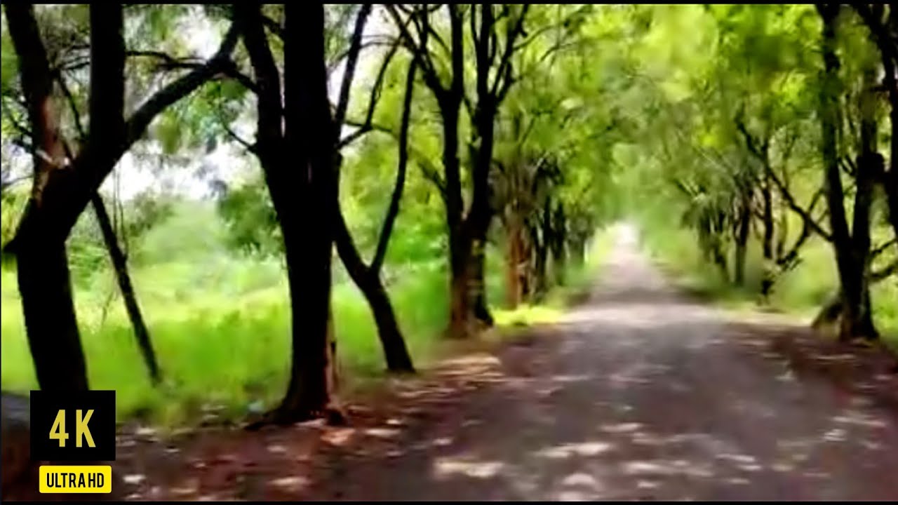 Vanasthali Hills - Secret Location in Hyderabad | 4K Weekend Getaway #Ridabanosworld
