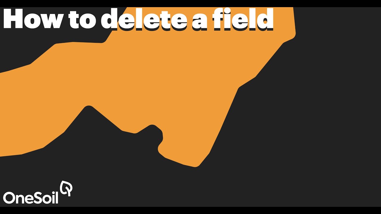 How to delete a field